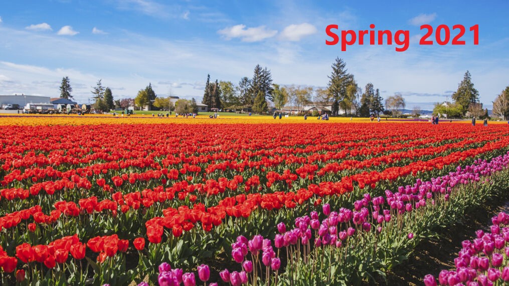 Spring 2021 Employee Directory